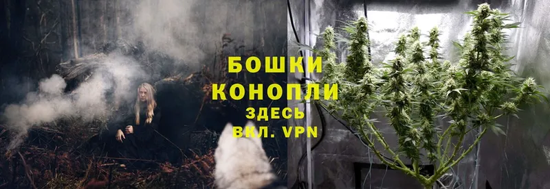 Конопля SATIVA & INDICA  как найти   Апшеронск 